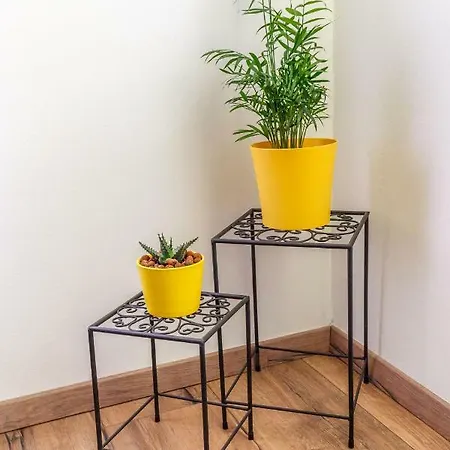 Apartment Arnold
